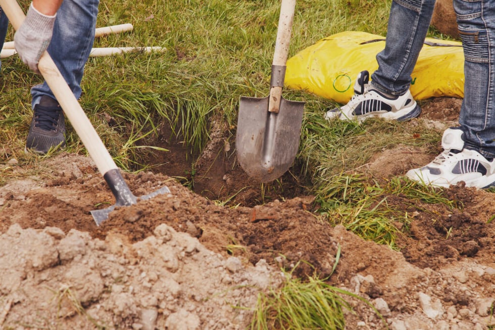 Digging a hole for planting a tree