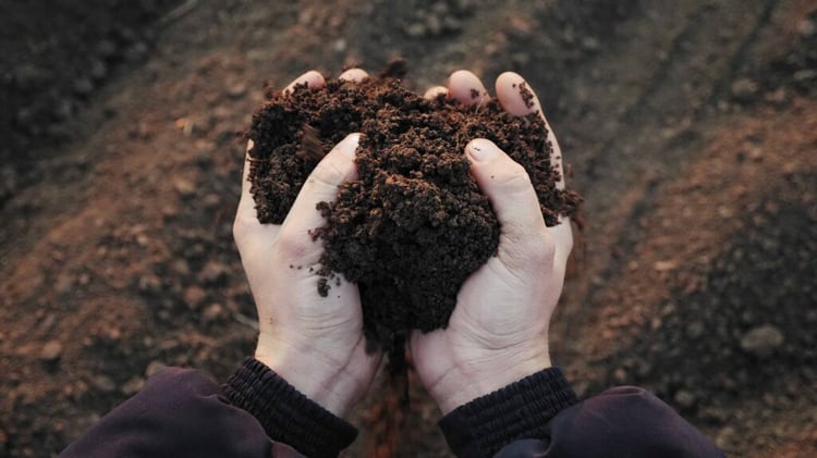 Hands scooping healthy, nutrient-rich soil enriched through compost, ideal for gardening and plant growth.